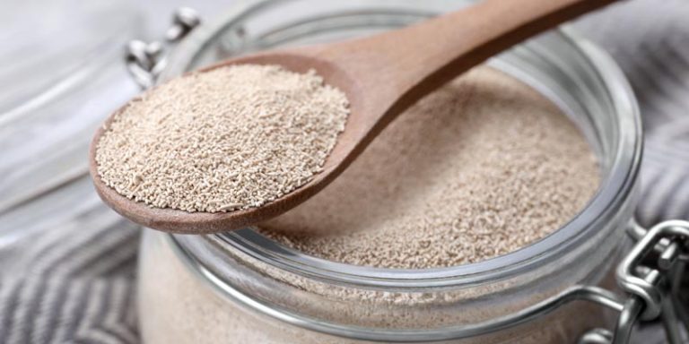 5 Merk Ragi Instant Terbaik untuk Roti Lembut dan Mengembang Sempurna